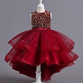 abordables Robes à Fleurs pour Filles-Robe de Demoiselle d&#039;Honneur Fille Fille Robe Robe de fête Utilisation Mariage Soirée Elégant Princesse Paillettes Maille Paillette Sans Manches Col Ras du Cou Blanche Rouge 3-13 ans