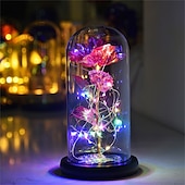 cheap Novelties-Galaxy Rose Lamps Flowers Rose Eternal Rose in Glass Led Light Up Rose Dome Decor Valentines Day Gifts for Women Girlfriend Wife Mothers Day Wedding