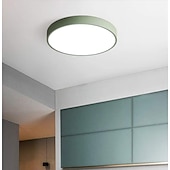 billige Taklamper med dimming-30 cm Mulighet for demping Skyllmonteringslys Metall Elegant Malte overflater LED 110-120V 220-240V 110-240 V