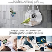 cheap Backyard Birding &amp; Wildlife-Bird Feeder with Camera, Bird Watching Camera HD 1080P Night-Version Video Camera, WiFi Hotspot Remote Connection with Mobile Phone for Outdoor Bird Watching, Capture Photos