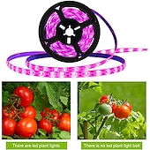cheap Plant Growing Lights-Plant Grow Light LED Strip USB Full Spectrum DC 5V 0.5-3m Phyto Lamp for Vegetable Flower Seedling Grow Tent Box Waterproof