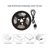 cheap Plant Growing Lights-Plant Grow Light LED Strip USB Full Spectrum DC 5V 0.5-3m Phyto Lamp for Vegetable Flower Seedling Grow Tent Box Waterproof