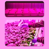 abordables Lumières intelligentes-led élèvent des ampoules 9w spectre complet 300lm b22 e26/e27 a70 18 led perles rose