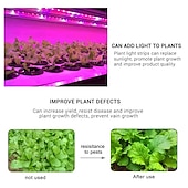 cheap Plant Growing Lights-Plant Grow Light LED Strip USB Full Spectrum DC 5V 0.5-3m Phyto Lamp for Vegetable Flower Seedling Grow Tent Box Waterproof