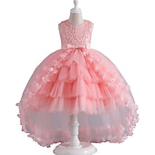 levne Párty šaty-Batole Dívčí Šaty na párty Pevná barva Bez rukávů Výkon Svatební Síťka Zip Roztomilý Princeznovské Bavlna Polyester Asymetrické Šaty na párty Léto Jaro Podzim 7-13 let Bílá Šampaňská Světlá růžová