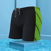 abordables maillot de bain boxer homme-Homme Maillot de bain Surf Boardshort short de bain Short de bain Imprimer Lettre Requin 3D Respirable Séchage rapide Vacances Plage Piscine Sexy Elastique 2 7 Taille basse Elastique