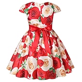 levne Párty šaty-Děti Dívčí Šaty Šaty na párty Květiny Krátký rukáv Výkon Křtinové šaty Kravatový uzel Princeznovské Polyester Midi Šaty na párty Léto Jaro 3-10 let Bordó Více barev Barva modrá