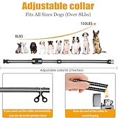 economico Addestramento e accessori educativi per cani-Collare di addestramento per cani con telecomando da 2000 piedi, scossa elettrica, vibrazione, bip, modalità blocco tastiera a 16 livelli, ipx8, impermeabile, ricaricabile