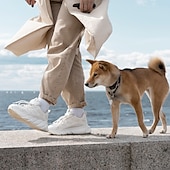 お買い得  犬用トレーニング用品-1600ft ペット犬用トレーニング首輪 防水充電式リモコン 3 モード ビープ音 振動 衝撃 9 レベル調整可能なキーパッド ロック タイプ c ポート