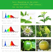 cheap Plant Growing Lights-LED Grow Light for Indoor Plants E27 15W 48LED Beads Full Spectrum Fixture White Purple 220-240 V Vegetable Greenhouse