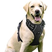 abordables Colliers, harnais et laisses pour chiens-sangle de poitrine pour chien de compagnie gilet type chien boucle anti-déflagrante corde de traction fournitures pour chiens sangle de poitrine