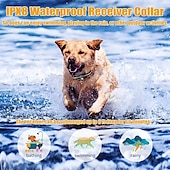 economico Addestramento e accessori educativi per cani-Collare di addestramento per cani con telecomando da 2000 piedi, scossa elettrica, vibrazione, bip, modalità blocco tastiera a 16 livelli, ipx8, impermeabile, ricaricabile