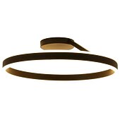 baratos Luzes de teto reguláveis-Luz de Teto LED 50cm Design de Círculo em Anel com 1 Lâmpada Dimerizável Acabamentos Pintados em Alumínio Estilo Moderno Luxuoso para Sala de Jantar Quarto Luminárias Penduradas 110-240V SOMENTE