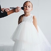 levne Párty šaty-Děti Dívčí Šaty na párty Pevná barva Bez rukávů Svatební Síťka Princeznovské Sladký Polyester Délka ke kolenům Bruslařské šaty Léto Jaro 3-10 let Černá Bílá Světlá růžová