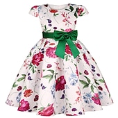 levne Párty šaty-Děti Dívčí Šaty Šaty na párty Květiny Krátký rukáv Výkon Křtinové šaty Kravatový uzel Princeznovské Polyester Midi Šaty na párty Léto Jaro 3-10 let Bordó Více barev Barva modrá