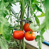 رخيصةأون ملحقات العناية بالنباتات-20 قطعة مقاطع دعم النبات زهرة و كرمة حديقة الطماطم مشابك دعم نباتات لدعم السيقان تنمو الكروم تستقيم التسلق