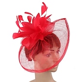 お買い得  ファシネーター-魅力的な人 帽子 ヘッドピース シナメイ フォーマル ケンタッキーダービー 競馬 レディースデー 教会 エレガント ヴィンテージ ゴージャス と フェザー かぶと 帽子