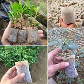 olcso Kertészkedés-100db faiskolai termesztő táska, nem szőtt palántanevelési zsák a magas palánta túlélési arány érdekében, növényi zsákok ültetéshez, kerti vetőmag indító tasak