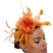 levne Fascinátory-Fascinátory Tyl Kentucky Derby Dostih koktejl Royal Astcot retro Elegantní S Peří Přílba Pokrývky Hlavy