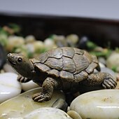 olcso kerti szobrok és szobrok-mini teknősök miniatűr figurák szimuláció kis teknős dísz valósághű tengeri teknősök gyanta aranyos tengerpart tengeri teknősök bonsai kézműves tündérkert zamatos virágtartó dekoráció