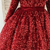 halpa Kukkatyttön mekot-Taapero Tyttöjen Juhlamekko Paljetti Pitkähihainen Suoritus Silmukka söpö tyyli Prinsessa Polyesteri Reisipituinen Kotelomekko Tyllimekko Kesä Kevät Syksy 3-7 vuotta Valkoinen Viini Taivaan sininen