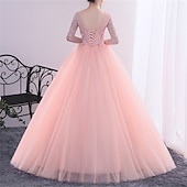 abordables Robes de bal de promo-Robe de bal Quinzeanera robe de princesse performance Quinzeanera longueur sol manches longues décolleté en V avec cristaux appliques robe à impressionner