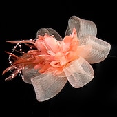 economico Fascinator-Fascinatori  Cappelli  Fasce per capelli in tulle  piume  rete con 1 pezzo Matrimonio  Occasione speciale  Copricapo per tea party per un&#039;ottima impressione Fascinatori del Derby Giornata di corsa