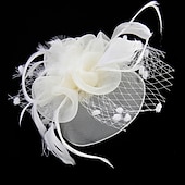 お買い得  ファシネーター-フェザー / ネットファシネーター ケンタッキーダービーハット / 鳥かごベール 1 枚付き 結婚式 / パーティー / イブニング / レディースデー ヘッドピース