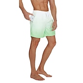 お買い得  男性用水泳パンツ-男性用 ボードショーツ スイムショーツ スイムトランク ドローストリング メッシュ裏地付き 弾性ウエスト 勾配 速乾性 ショート カジュアル 日常 祝日 ハワイアン ボヘミアン ブラック ピンク マイクロエラスティック