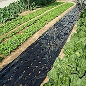 abordables accessoires d&#039;entretien des plantes-film plastique avec trous de plantation, film barrière anti-mauvaises herbes de jardin paillage respirant jardinage agriculture paysage bâche pour le maintien de la température de l&#039;humidité