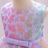preiswerte Kleider für die Blumenmädchen-Kinder Mädchen Partykleid Einfarbig Ärmellos Leistung Besonderer Anlass Knotenbinde Elegant Polyester Knielang Tüllkleid Sommer Frühling 3-10 Jahre Champagner Rosa Blau