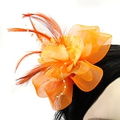 economico Fascinator-Fascinatori  Cappelli  Fasce per capelli in tulle  piume  rete con 1 pezzo Matrimonio  Occasione speciale  Copricapo per tea party per un&#039;ottima impressione Fascinatori del Derby Giornata di corsa