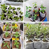 olcso Kertészkedés-100db faiskolai termesztő táska, nem szőtt palántanevelési zsák a magas palánta túlélési arány érdekében, növényi zsákok ültetéshez, kerti vetőmag indító tasak