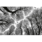 זול טפט-טפטים מגניבים טבע טפט קיר ציור קיר שחור ולבן קילוף ודבק נשלף pvc/ויניל חומר הדבקה עצמית/דבק חובה ציור קיר עיצוב קיר לחדר שינה בסלון