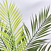 levne Umělé rostliny a zeleň-9 ks umělé palmové listy rostliny umělé palmové listy tropické velké palmové listy zeleň rostlina na listy havajský večírek džungle party velké palmové listy dekorace svatební dekorace