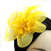 economico Fascinator-Fascinatori  Cappelli  Fasce per capelli in tulle  piume  rete con 1 pezzo Matrimonio  Occasione speciale  Copricapo per tea party per un&#039;ottima impressione Fascinatori del Derby Giornata di corsa