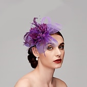 cheap Fascinators-Elegant Feather Net Fascinators Hats with Feathers Fur Floral 1PC Special Occasion Kentucky Horse Race Ladies Day Headpiece dress to impress Race Day Dress