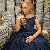 cheap Party Dresses-Kids Girls&#039; Party Dress Solid Color Sleeveless Performance Wedding Mesh Princess Sweet Lace Mid-Calf Sheath Dress Tulle Dress Flower Girl&#039;s Dress Summer Spring Fall 2-12 Years Blue