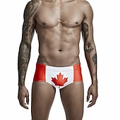 abordables Shorts de Bain pour Hommes-Homme Maillots de Bain Short de bain Slip de bain Taille elastique Imprimer Imprimés Photos Respirable Doux Extérieur Casual du quotidien Hawaïen mode Blanche Rouge Micro-élastique