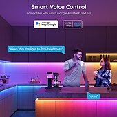 cheap WiFi&amp;Music Control-RGBIC LED Strip Compatible with Alexa Google Home Color Changing LED Light Music Sync TUYA WiFi for Bedroom Ceiling Playroom Shustar