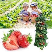 abordables accesorios para el cuidado de las plantas-bolsa de cultivo de fresa colgante, bolsa de cultivo de fresa con 8 agujeros para tomate de fresa y pimiento bolsa de cultivo de tomate al revés, bolsa de cultivo de verduras, suministros de jardinería