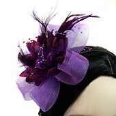 economico Fascinator-Fascinatori  Cappelli  Fasce per capelli in tulle  piume  rete con 1 pezzo Matrimonio  Occasione speciale  Copricapo per tea party per un&#039;ottima impressione Fascinatori del Derby Giornata di corsa