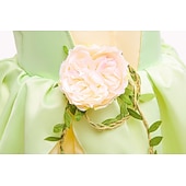 ieftine Costume pentru fete-Tinker Bell DinBasme Prințesă Tiana Rochie de fete cu flori Costum de petrecere tematică Rochii din tul Activ Dulce Film Cosplay for Fete Pentru copii Nuntă Invitat la nunta