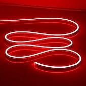 abordables Lampes néon led-Guirlande lumineuse LED en néon 5 m 16,4 pi, 12 V, flexible, étanche IP65, en silicone, idéale pour la chambre, la cuisine, la décoration intérieure/extérieure (adaptateur secteur non inclus)