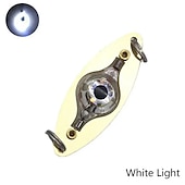 economico Luci subacquee-esca da pesca a led luce attivata dall&#039;acqua pesci subacquei che attirano la luce multicolore 1pc