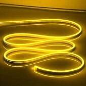 abordables Lampes néon led-Guirlande lumineuse LED en néon 5 m 16,4 pi, 12 V, flexible, étanche IP65, en silicone, idéale pour la chambre, la cuisine, la décoration intérieure/extérieure (adaptateur secteur non inclus)