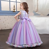 preiswerte Partykleider-Kinder Mädchen Kleid Blume ärmellos Performance Party Spitze süßes Polyester knielanges Tüllkleid Sommer Frühling Herbst 4–13 Jahre blau