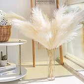 cheap Artificial Plants &amp; Flowers-5pcs Wedding Mini Pampas Reed Grass INS Wind Simulated Flower Factory Home Decoration Wholesale Artificial Flowers