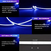 abordables Lampes néon led-Guirlande lumineuse LED en néon 5 m 16,4 pi, 12 V, flexible, étanche IP65, en silicone, idéale pour la chambre, la cuisine, la décoration intérieure/extérieure (adaptateur secteur non inclus)