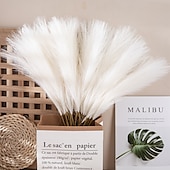 cheap Artificial Plants &amp; Flowers-5pcs Wedding Mini Pampas Reed Grass INS Wind Simulated Flower Factory Home Decoration Wholesale Artificial Flowers